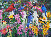 Songbirds Jigsaw Puzzle 1000 Piece
