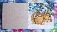 Peaceful Night Advent Calendar
