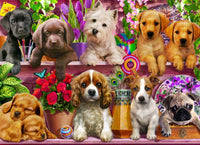 Puppies Galore Jigsaw Puzzle 1000 Piece
