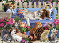 
              A Cat's Life Jigsaw Puzzle 1000 Piece
            