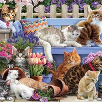 A Cat's Life Jigsaw Puzzle 1000 Piece