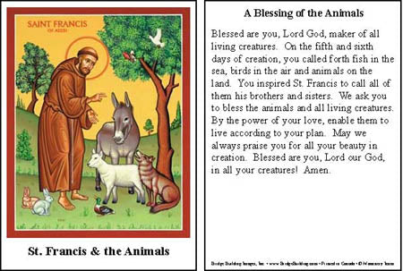 St. Francis & the Animals Prayer Card