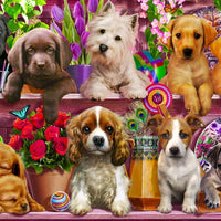 Puppies Galore Jigsaw Puzzle 1000 Piece